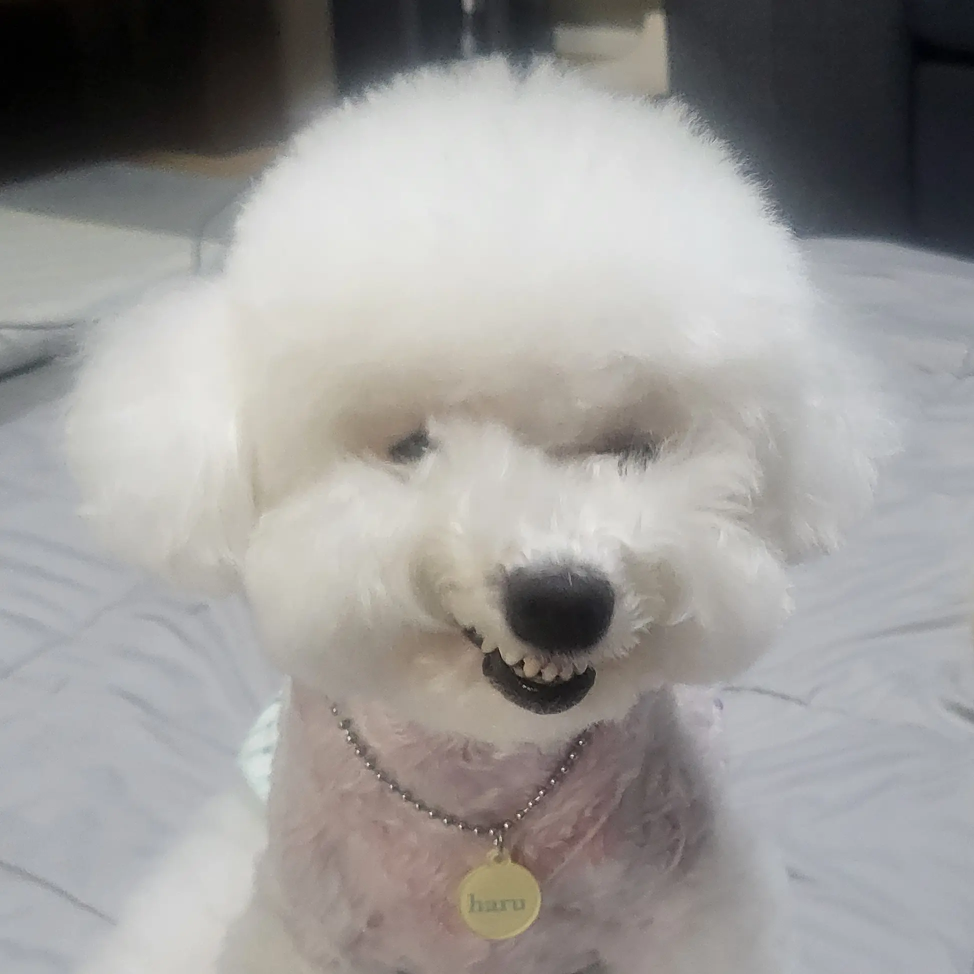 myunghyo0908의 사춘기 온 최하루