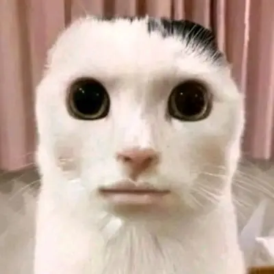 72empty의 째깐둥이