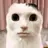 째깐둥이