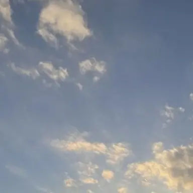 Profile image of 岩村大和