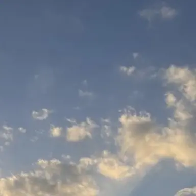 Profile image of 池野彗