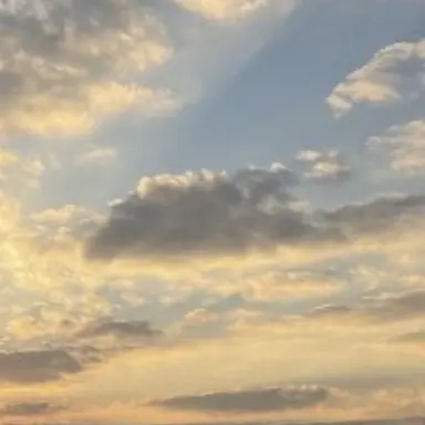 Profile image of 倉琶陸斗