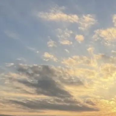 Profile image of メイワーフの奴ら