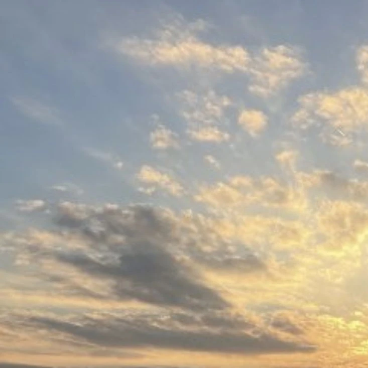 メイワーフの奴ら