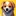 다루