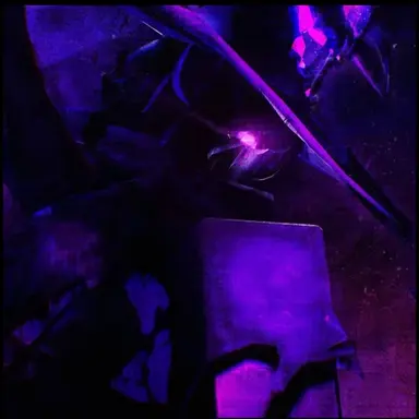 Profile image of 아주르