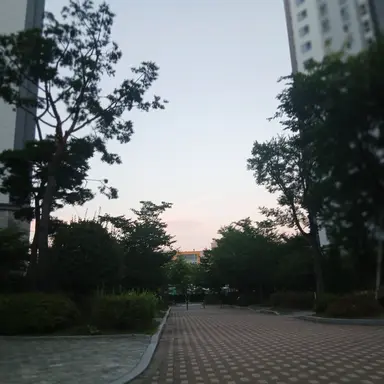 Profile image of 선생님