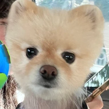 뭉치