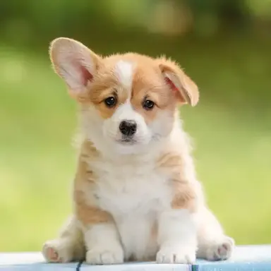 Profile image of スンミン