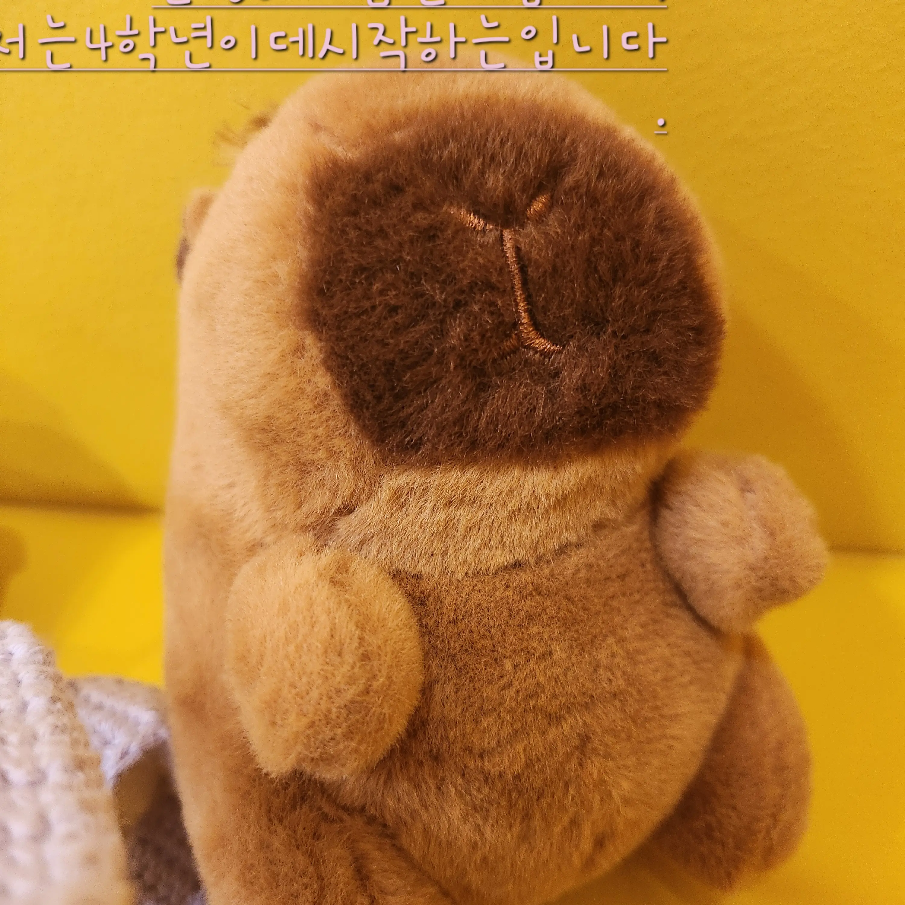 20150331의 독감걸린평학과감기걸린모찌엘