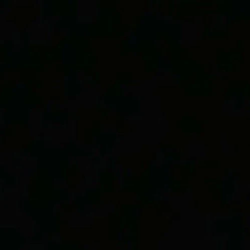 최도하