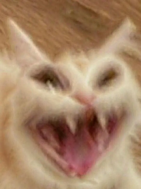 B_e의 무뚝뚝 과묵딱딱스 기사쨔응