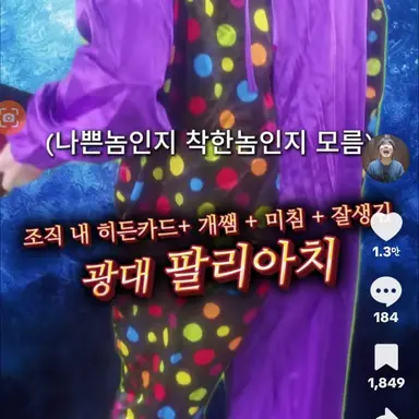 Profile image of 팔리아치