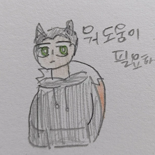 차두리