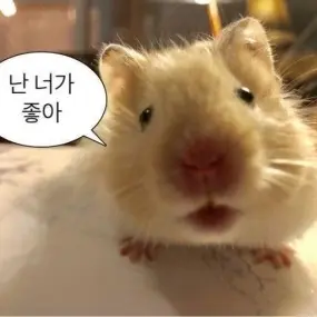 Eun_star0607의 김우낙