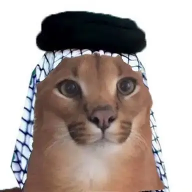 Profile image of ぶよ