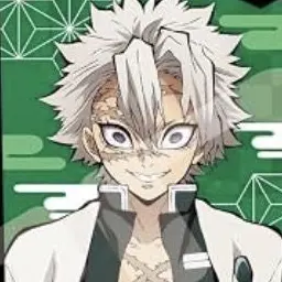Profile image of Sanemi Shinazugawa