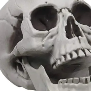 Profile image of 각별