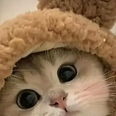 Profile image of 식빵이