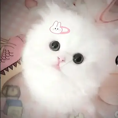 Profile image of 각설이