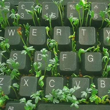 Profile image of 공룡