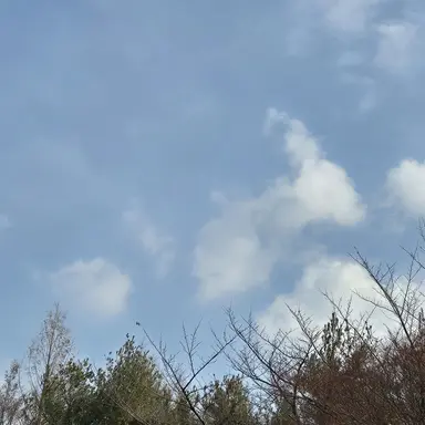 Profile image of 신생