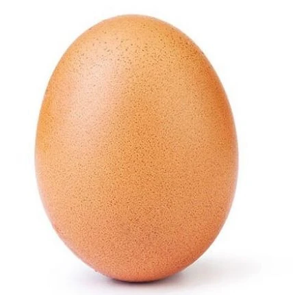너님은 유령☆