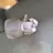 고양이