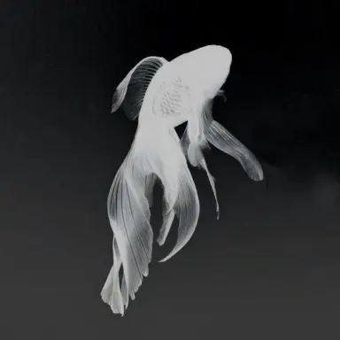 Profile image of 심해명