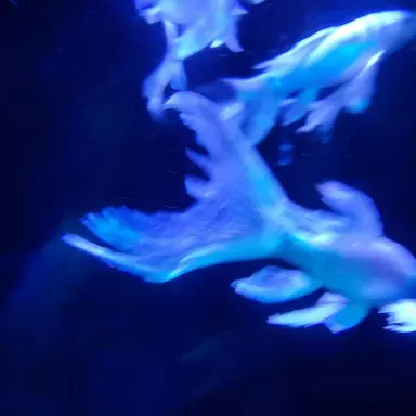 Profile image of 심해명