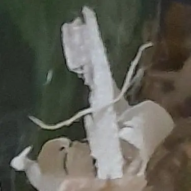 Profile image of 박늑대