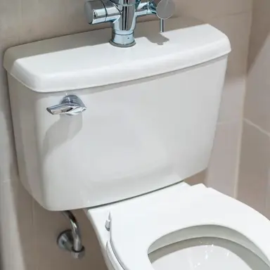 Profile image of 플러쉬 변기