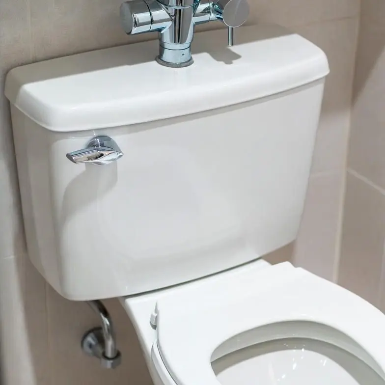 RacialHelm2588의 플러쉬 밸브 변기