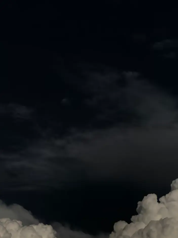 paru1004의 自己満