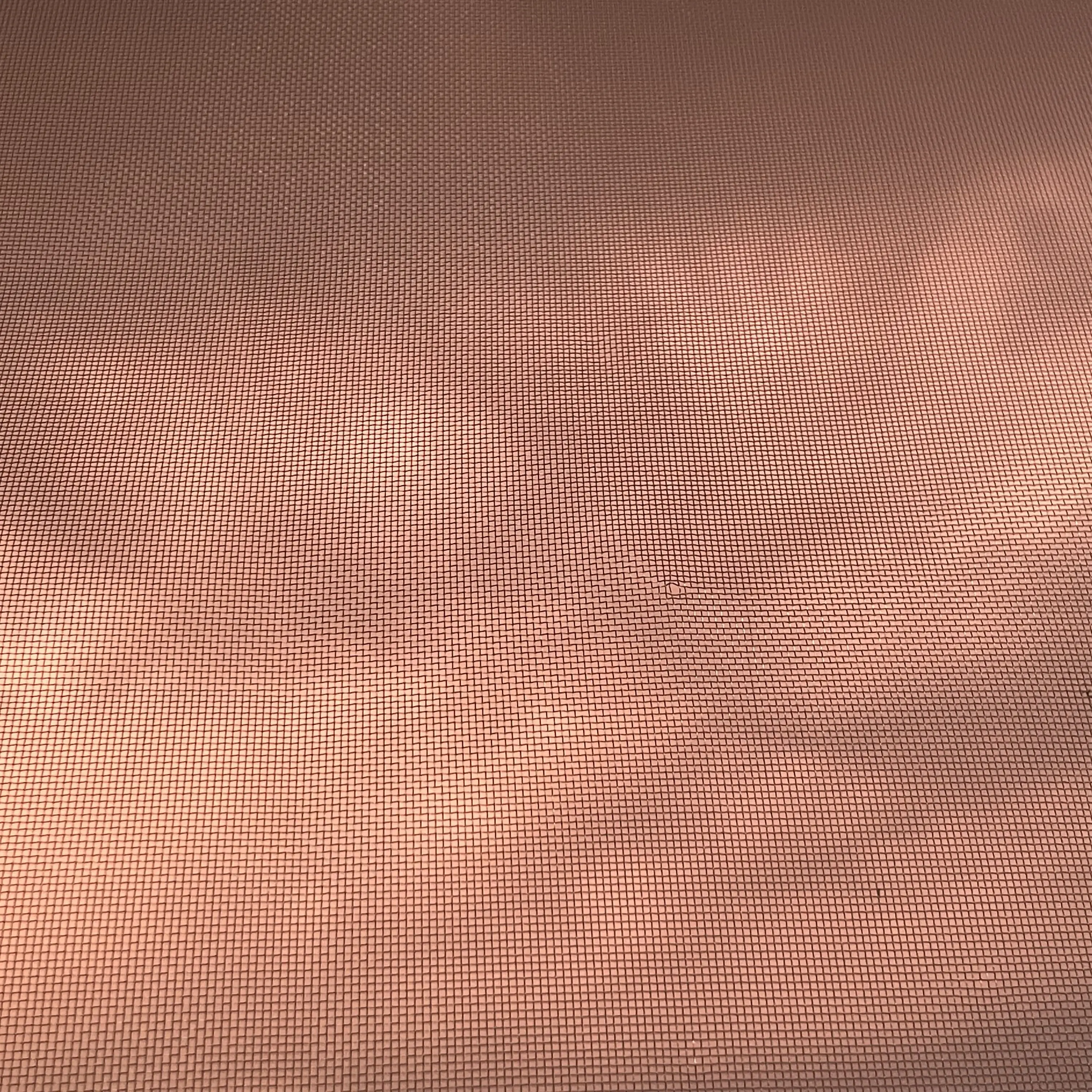 FolksyLung5132의 머리 만져봐도 돼?