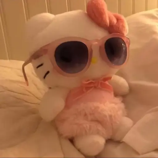 StingyDhole1188의 kitty 🎀