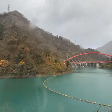 Profile image of 잠뜰