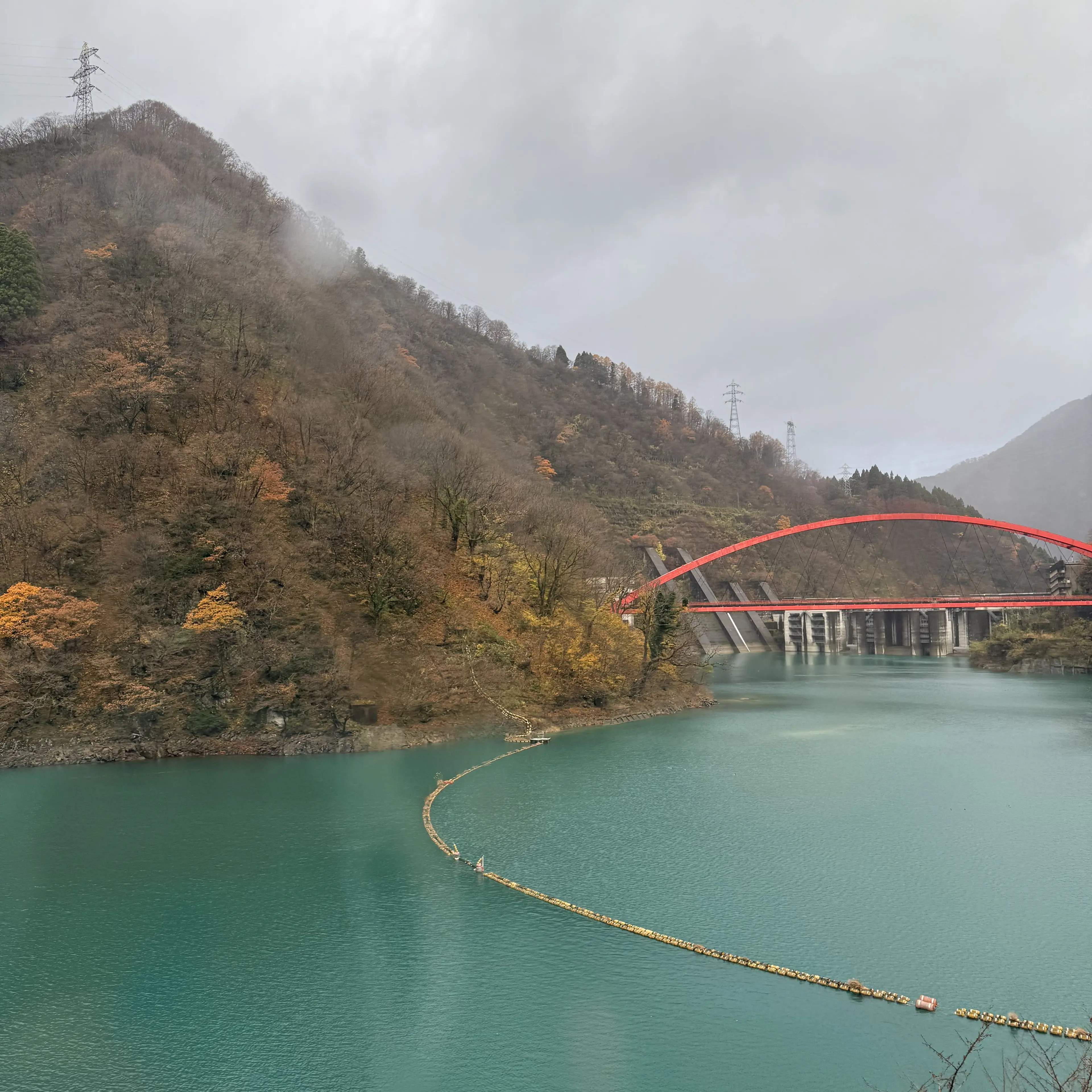 FinalWood4582의 하지 마세요