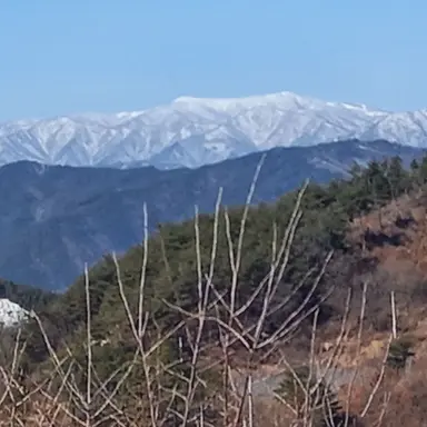 Profile image of 수현