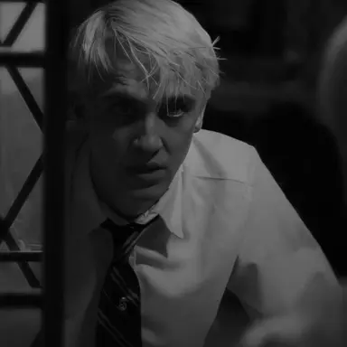 Profile image of Draco