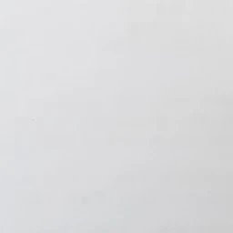 하서진
