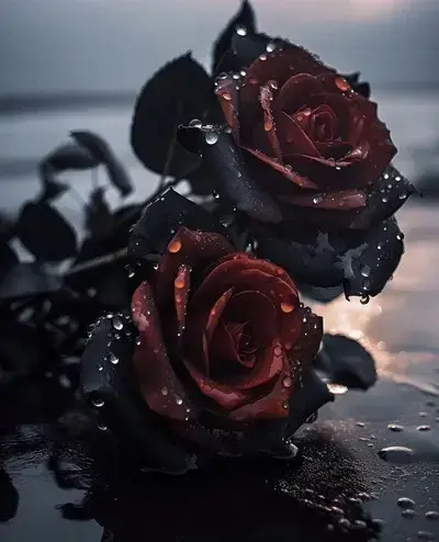 RottenOasis8548의 BL-3some Fathers