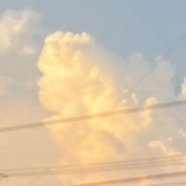 Profile image of テレビの人