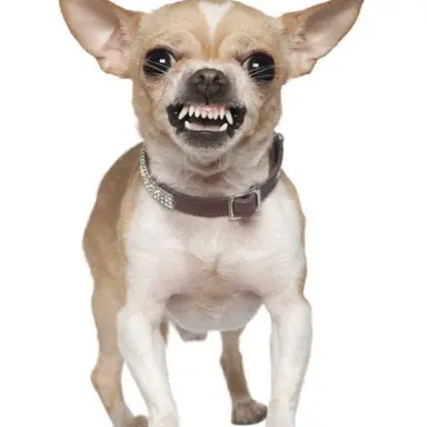 Profile image of 다크카카오