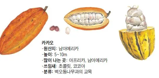 Profile image of 다크카카오