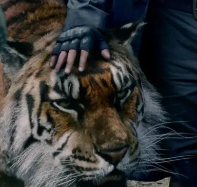 Profile image of King Ezekiel