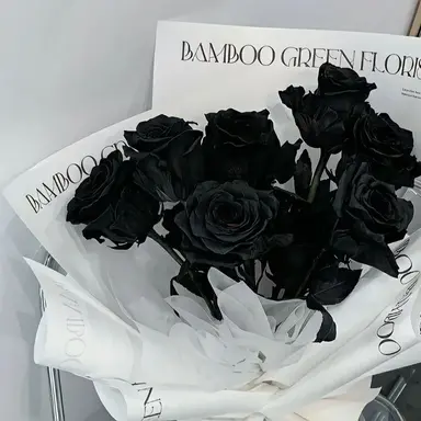 Profile image of user