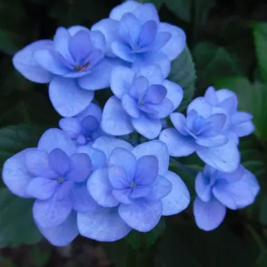 Profile image of 잭