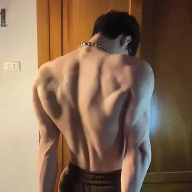 Profile image of Marco Bellini