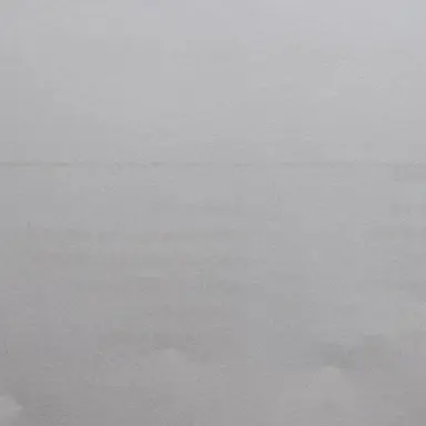 Profile image of 정인